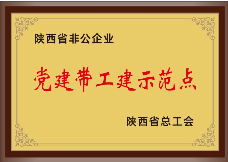 36.2023年，被陕西省总工会授予陕西省非公企业党建带工建示范点；.png