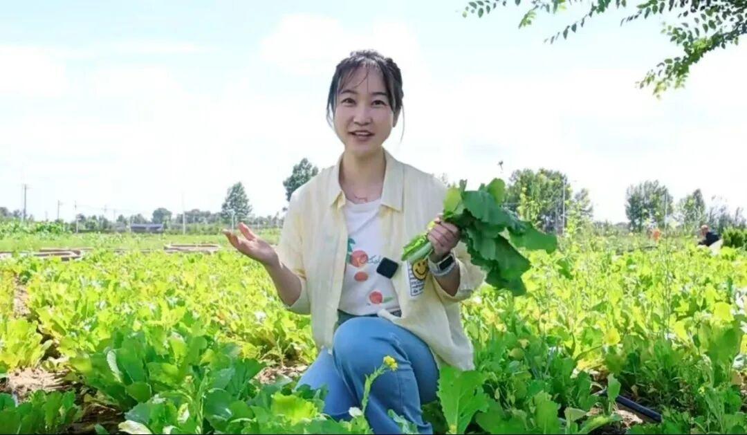 888腾博会-诚信为本,专业服务